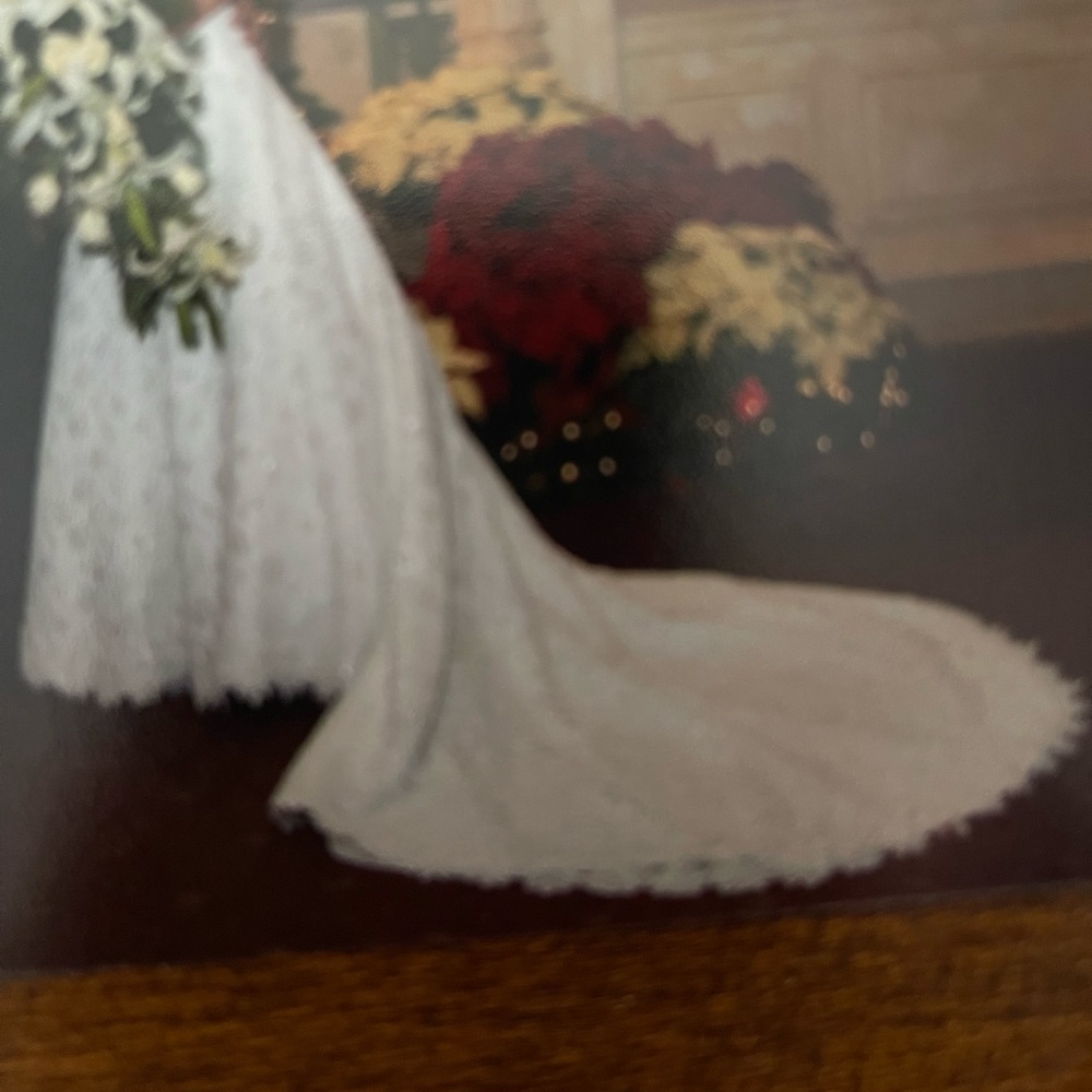 David’s bridal wedding dress